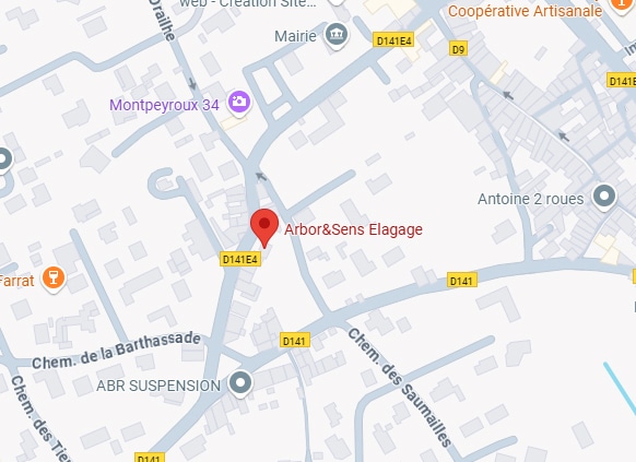 Carte routière de Montpeyroux localisant Arbor&Sens Elagage (pin rouge) sur la D141E4, près de la Mairie et Chem. de la Barthassade.