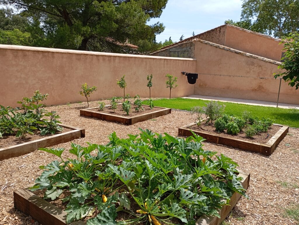 Jardin potager en carrés productif sous le soleil Potager en carrés avec courges, tomates, agrumes, et fines herbes devant un mur ocre et des arbres verts.